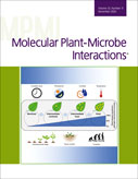 MPMI 2020 – Issue 11